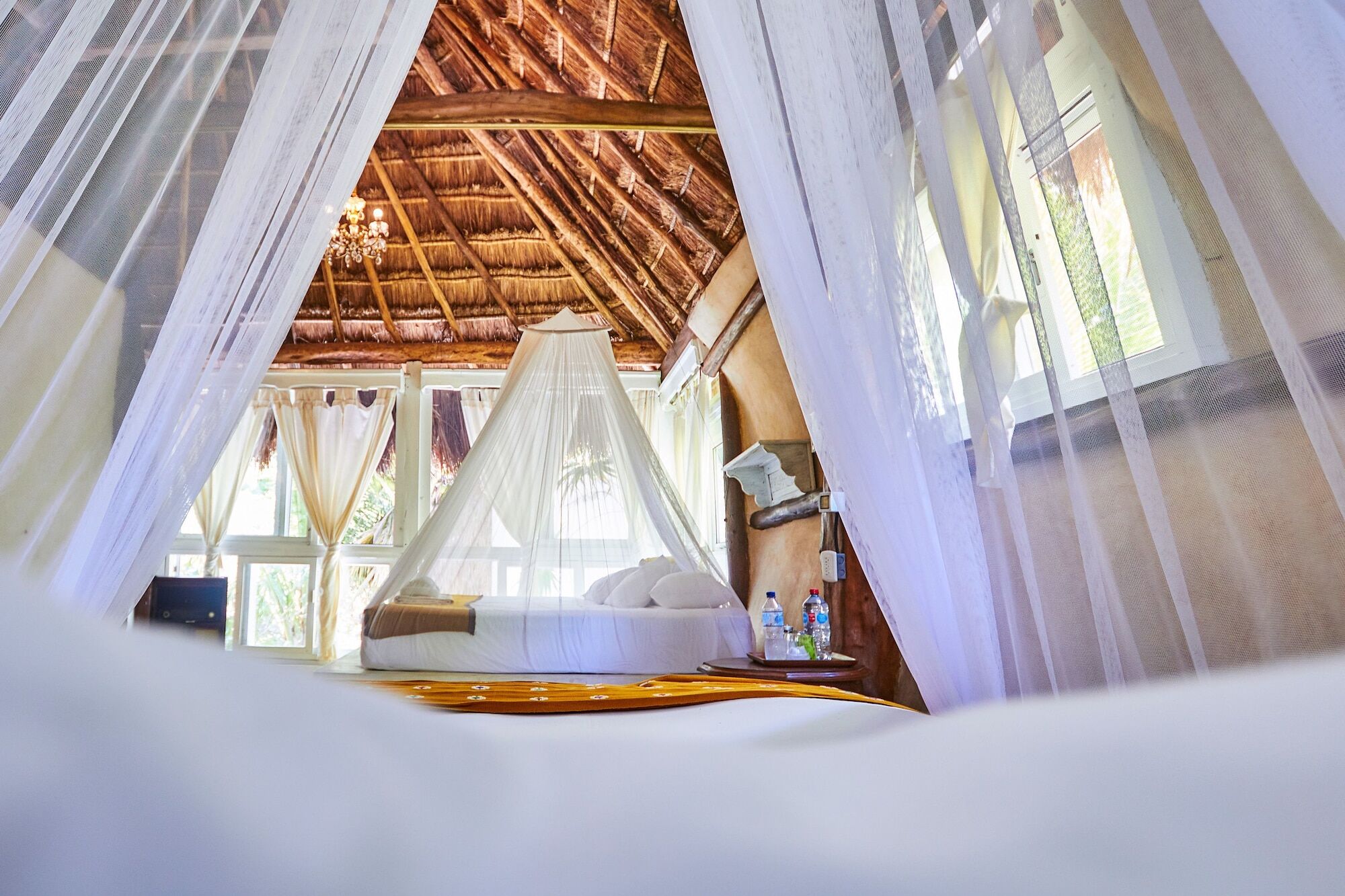 Hotel Lamar Front And Pool