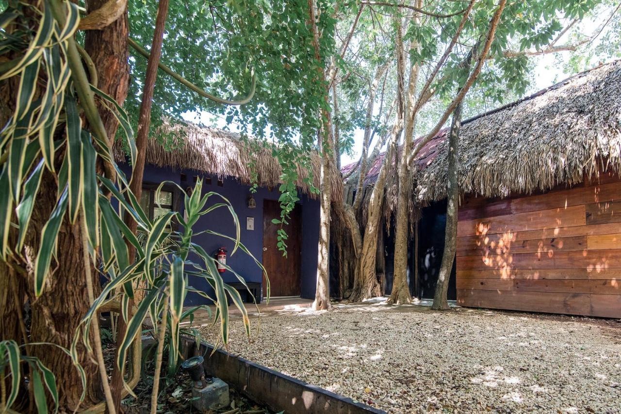 Hostel El Punto Albergue *
