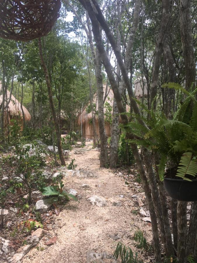 Bed & Breakfast Aldea Yuyu