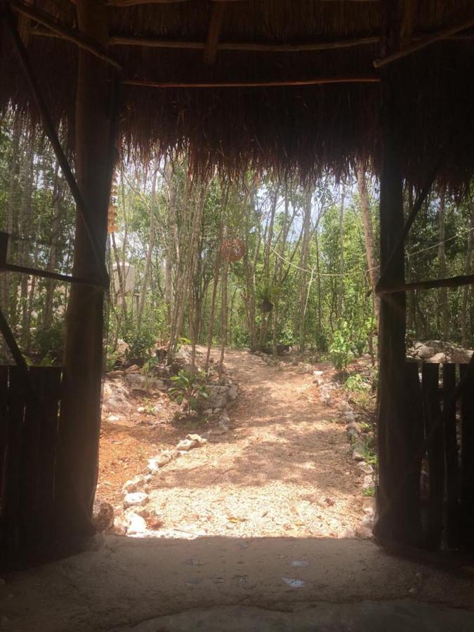 Bed & Breakfast Aldea Yuyu *