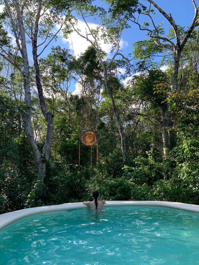 Bed & Breakfast Casa Tzalam Selva