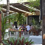 Lobo Tulum