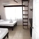Lobo Tulum