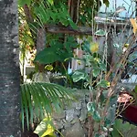 Lobo Bed and breakfast