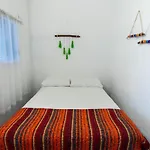Lobo Tulum