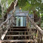 Roc Jungle