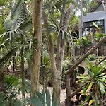 Roc Jungle Tulum