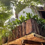 Roc Jungle