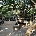 Roc Jungle Tulum