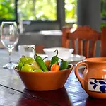 Feronia Villa Tulum
