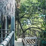 Roc Jungle Hotel Tulum
