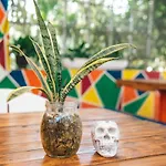 Lobo Bed and breakfast 2*