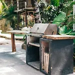 Lobo Tulum