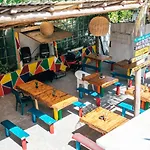 Lobo Tulum