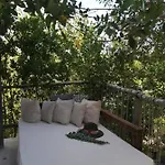 Hotel Roc Jungle 4*