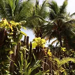 Hotel Andrea's Tulum