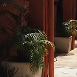 Hotel Andrea's 3*