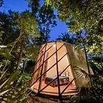 Selvatik - Jungle Pod