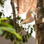 Luxury&Nature Villa Rosita Tulum/ Work&Rest Spaces
