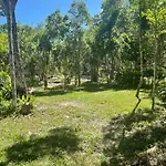 Glamping Bunga Lotus Campsite Tulum