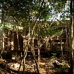 Villa Ojo De Arbol, Boutique In The Real Jungle *