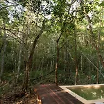 Ojo De Arbol, Boutique In The Real Jungle