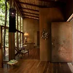 Ojo De Arbol, Boutique In The Real Jungle *