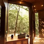 Ojo De Arbol, Boutique In The Real Jungle