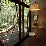 Ojo De Arbol, Boutique In The Real Jungle