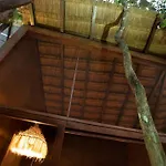 Ojo De Arbol, Boutique In The Real Jungle