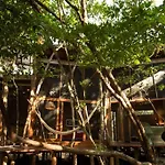 Ojo De Arbol, Boutique In The Real Jungle Villa Tulum