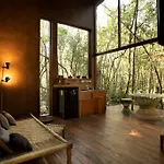 Villa Ojo De Arbol, Boutique In The Real Jungle