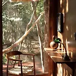 Ojo De Arbol, Boutique In The Real Jungle