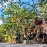 Studios At Central Park