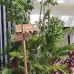 Cozy Studio Tulum 305 Netflix Fast Wifi Pool