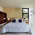 Luum Zama Luxury Villas By Luciernaga Maya