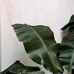16tulum * Tulum