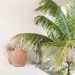 16tulum Tulum