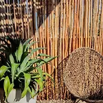 The Savia House - Rooftop & Gym Tulum