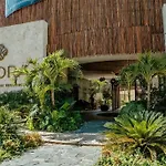 Estudio Con Cocina, Cenote, Spa, Temazcal, Zona De Yoga, Piscina Y Jacuzzi