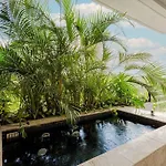 Come And Relax In The Jungle Of Tulum 3001