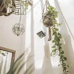 Tierra Blanca By Blanca