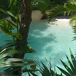 New Luxury Con Plunge Pool Privado Tulum