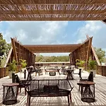 Luxurious Jungle Studio