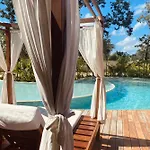 Luxurious Jungle Studio