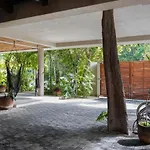 Spacious And Comfortable Apt. With Pool In Tulum