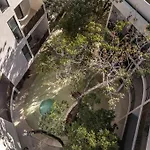 Cozy Studio, Pool, Great Location