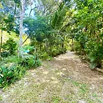 Glamping Bunga Lotus Campsite *