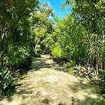 Campsite Glamping Bunga Lotus Tulum