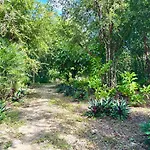 Glamping Bunga Lotus Campsite Tulum